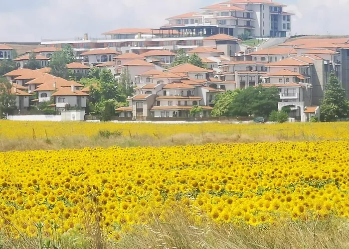 公寓 2 Bedroom With Sea And Poolview Near Aheloy *